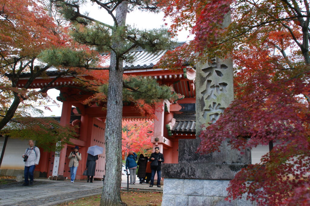 Gate of shinyodo